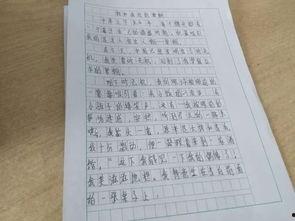 吃瓜大赛作文两轮